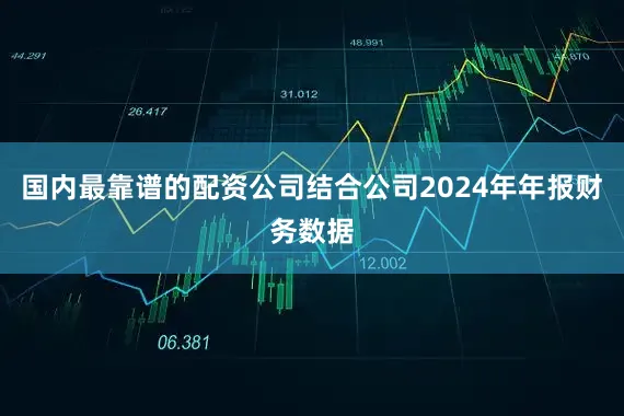 国内最靠谱的配资公司结合公司2024年年报财务数据